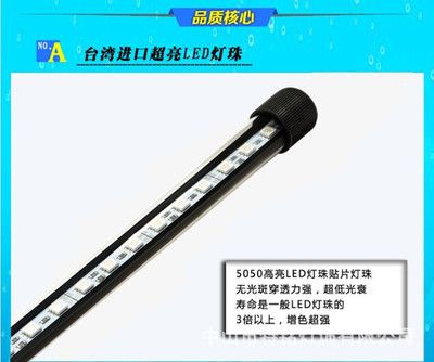 龍魚專用燈價(jià)格多少錢一個(gè)（龍魚專用燈價(jià)格）