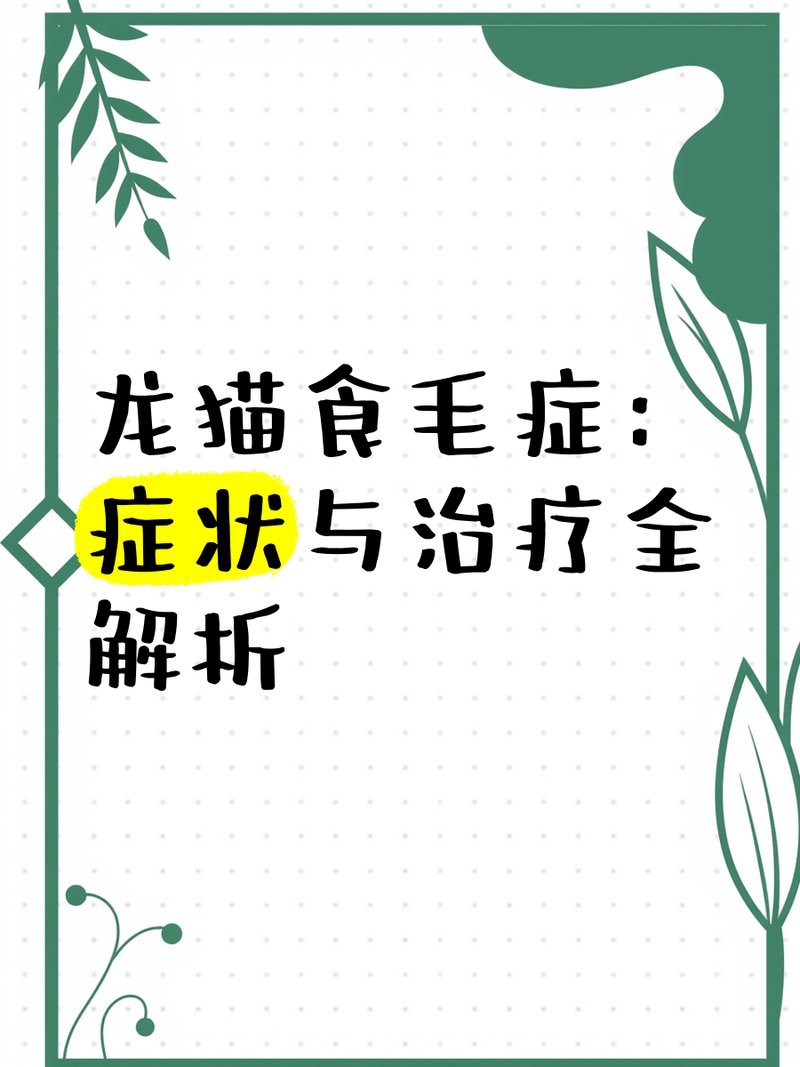 龍貓先天性疾病可以治愈嗎？