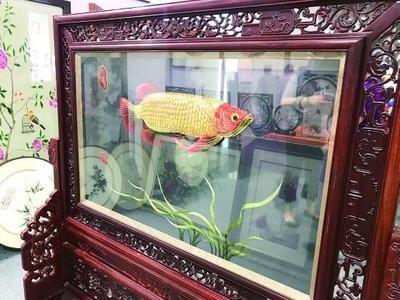 70厘米金龍魚價格表(70厘米金龍魚價格表70厘米金龍魚多少錢一條) 龍魚百科 第2張 70厘米金龍魚價格表(70厘米金龍魚價格表70厘米金龍魚多少錢一條) 70厘米金龍魚價格表(70厘米金龍魚價格表70厘米金龍魚多少錢一條) 龍魚百科 第2張