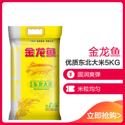 觀賞魚金龍魚多少錢一條（觀賞魚金龍魚多少錢一條圖片）