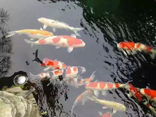 合缸交叉感染有哪些典型案例