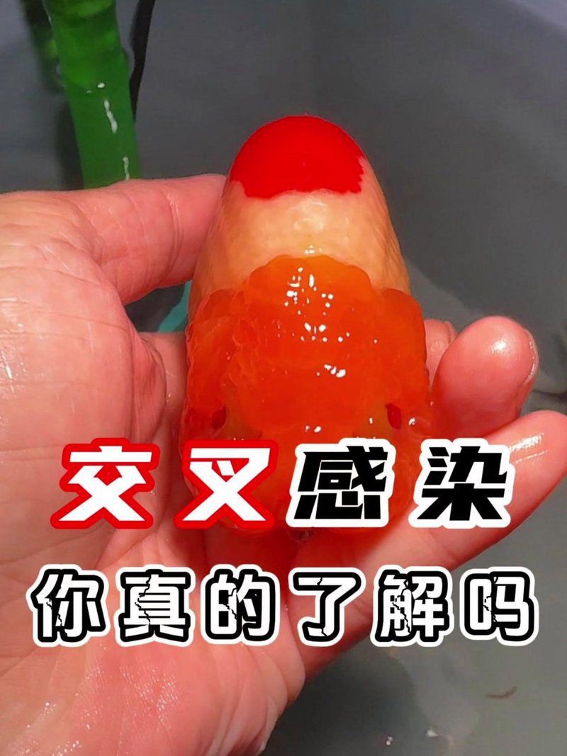 合缸交叉感染有哪些典型案例