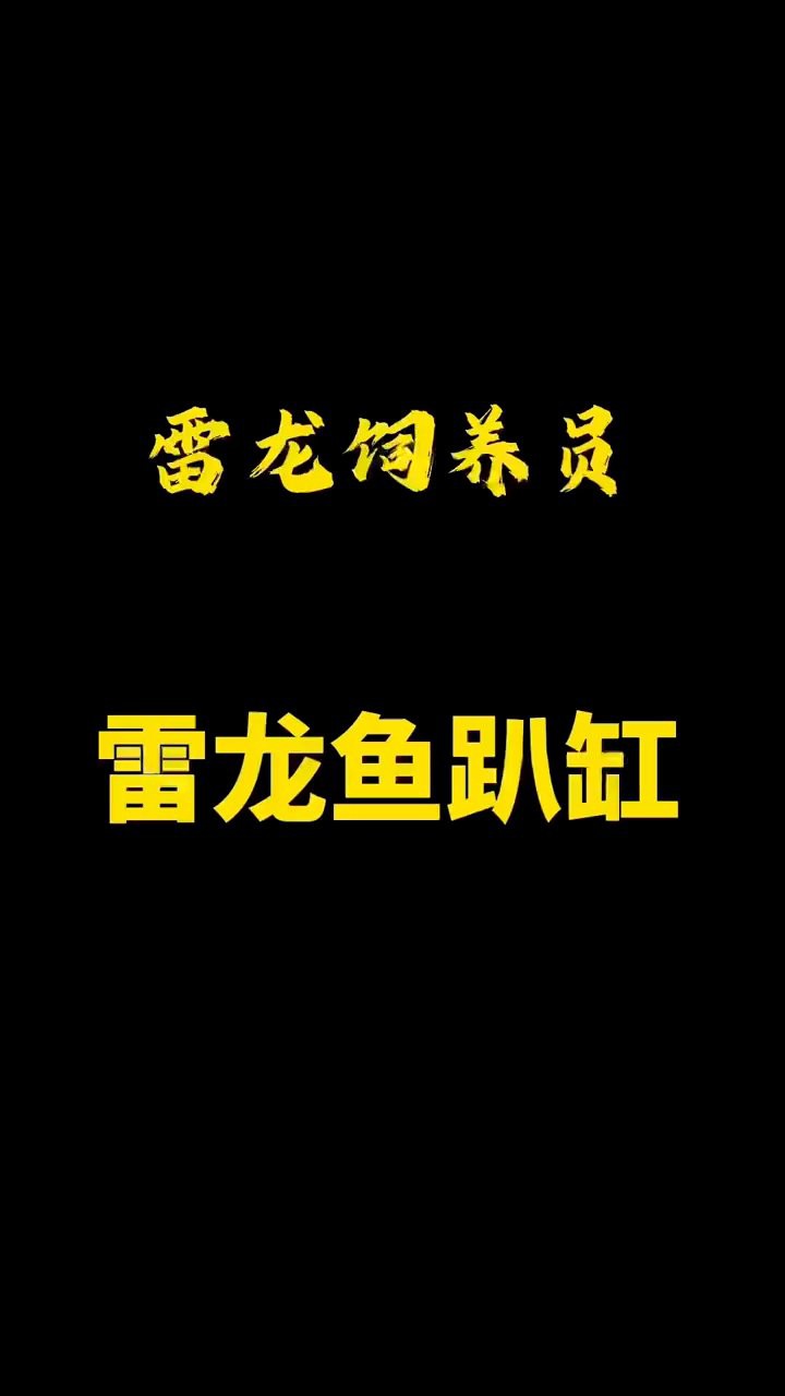 如何訓練不同品種的龍魚認主？