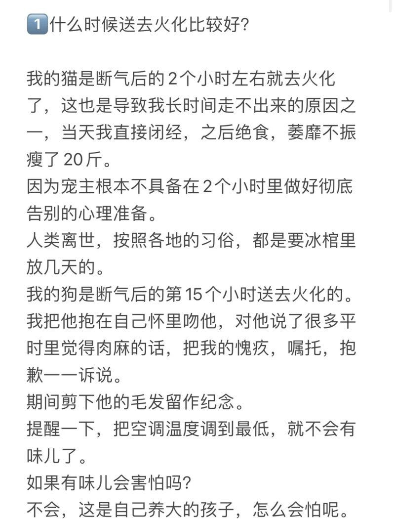 龍魚過世了最佳處理方法