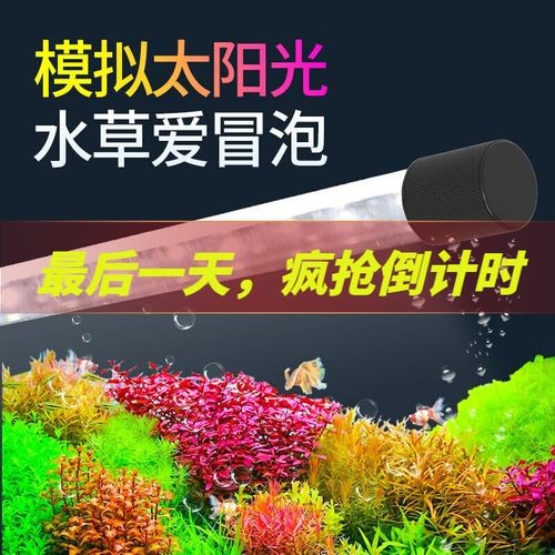 龍魚燈哪個品牌好？