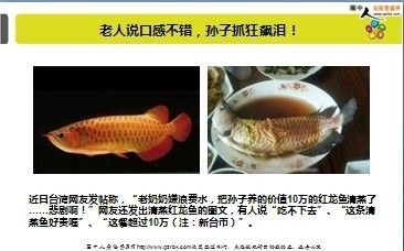 龍魚可以買保險嗎（寵物保險是否涵蓋龍魚，如何選擇合適的養魚保險）