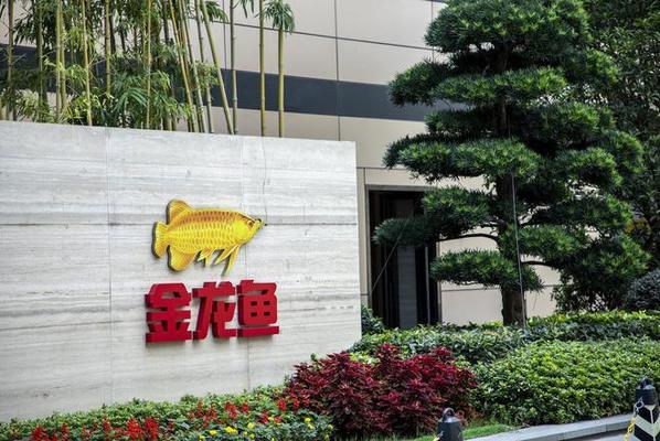 簡易魚缸過濾器安裝視頻（魚缸過濾器密封墊正確安裝方法魚缸過濾器常見故障及解決）