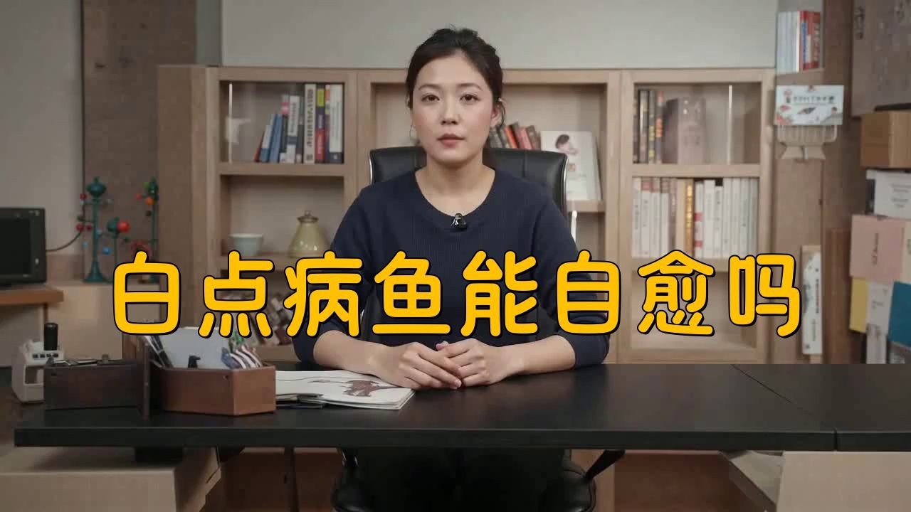 孔雀魚身上發白腐爛會自愈嗎？