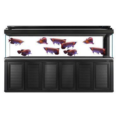 龍魚(yú)魚(yú)缸哪個(gè)品牌好一點(diǎn)：龍魚(yú)魚(yú)缸品牌售后服務(wù)對(duì)比森森魚(yú)缸用戶(hù)評(píng)價(jià)匯總