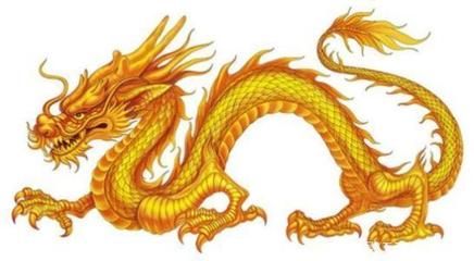 龍魚圖騰（龍魚圖騰有著深厚的歷史背景和文化內涵）