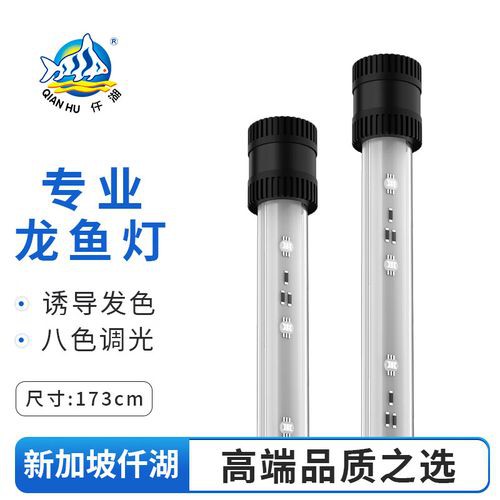 紅龍魚燈光設置有哪些品牌推薦？