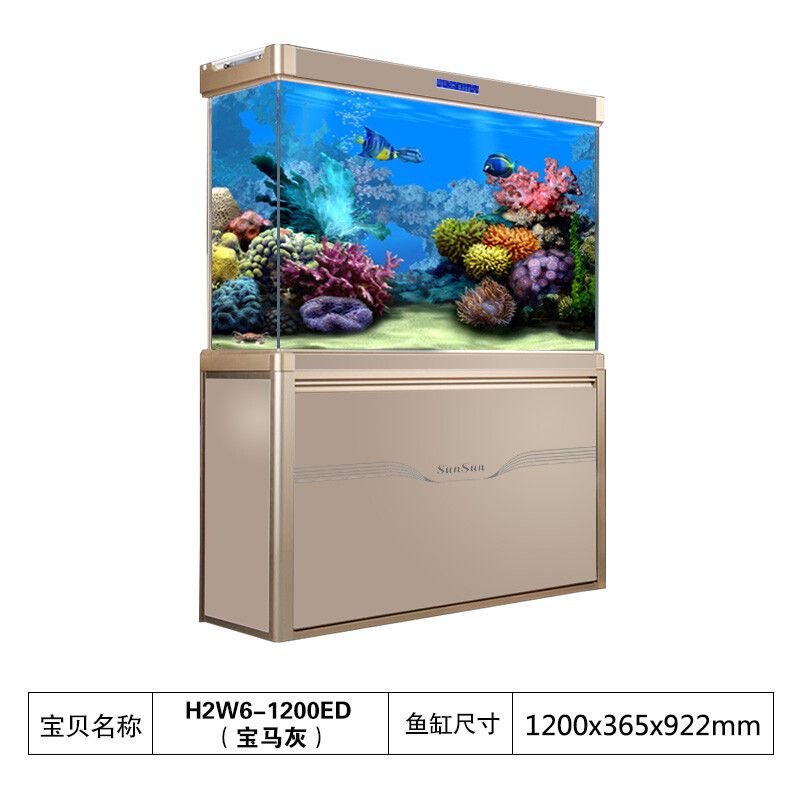 養龍魚的魚缸尺寸選擇是一個重要的問題