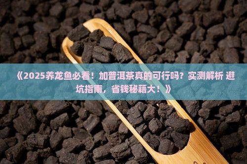 普洱茶養(yǎng)龍魚好嗎知乎推薦