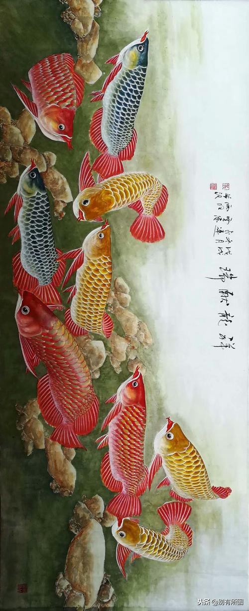 寫意國畫金龍魚圖片高清