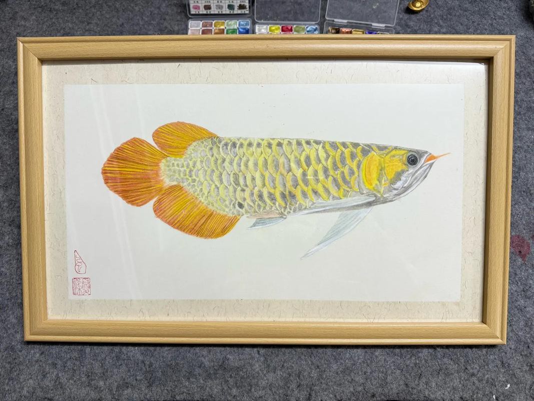 寫意國畫金龍魚圖片高清