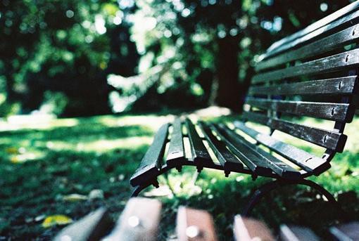 小龍魚凌天免費閱讀 小龍魚凌天免費閱讀 龍魚百科