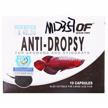 龍魚蒙眼病用什么藥好：治療龍魚蒙眼病需要綜合治療和改善水質等多種方法