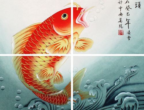 風水魚圖片 風水魚圖片 龍魚百科 第24張