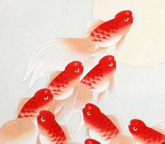 風水魚圖片 風水魚圖片 龍魚百科 第20張