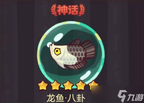 龍魚哪里買，線上購買龍魚可以通過多種途徑進行以下幾種途徑進行