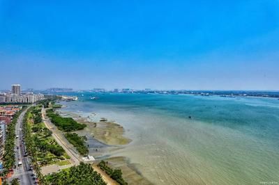 龍魚市場價格行情走勢