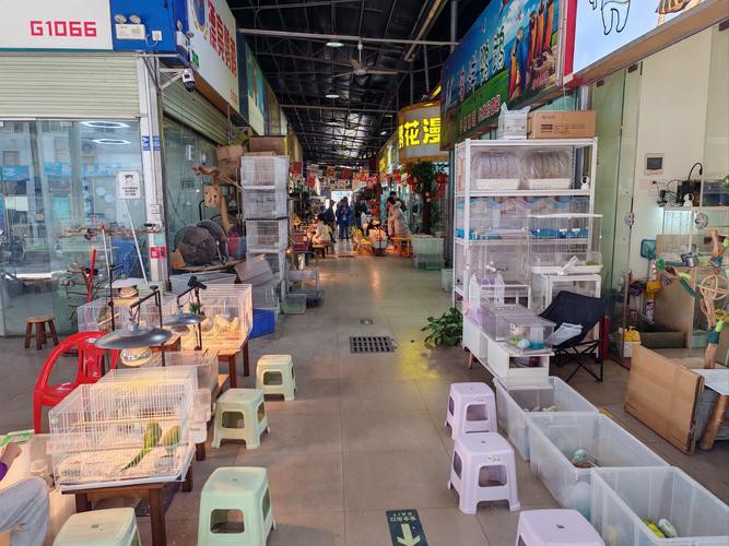 天津龍魚批發市場周三晚上幾點關門啊圖片