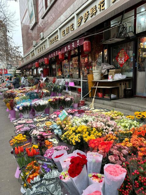天津龍魚批發市場周三晚上幾點關門啊圖片