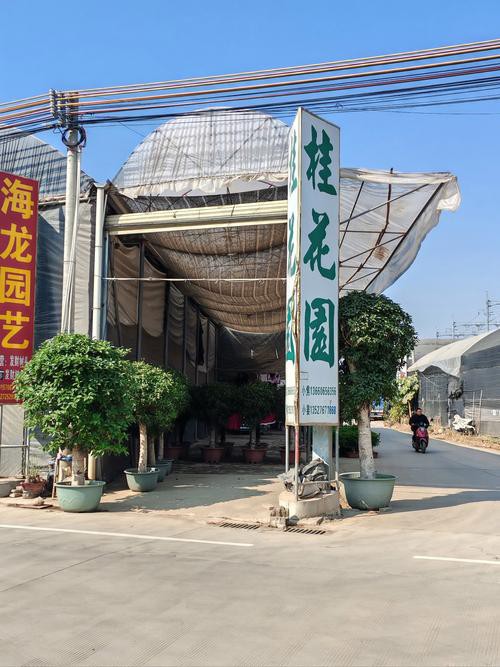 天津龍魚批發市場周三晚上幾點關門啊圖片