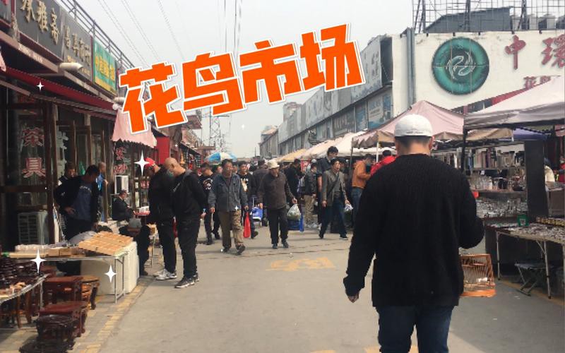 天津龍魚批發市場周三晚上幾點關門啊圖片