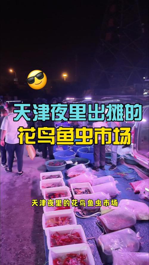 天津龍魚批發市場周三晚上幾點關門啊圖片