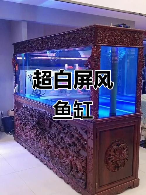 銀龍魚的飼養方法圖解