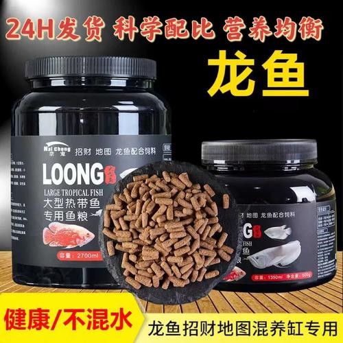 銀龍魚的飼養方法圖解