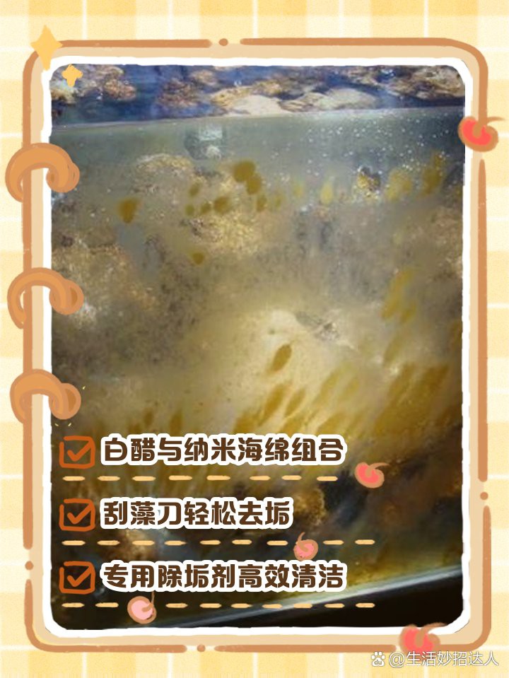 龍魚缸裝飾品如何清潔