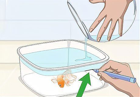 龍魚缸裝飾品如何清潔