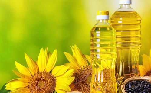 金龍魚總在魚缸底面游怎么治：如何診斷和治療金龍魚白點病