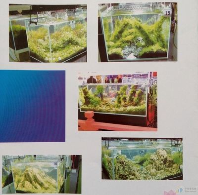 魚缸的設計效果圖平面（魚缸的設計效果圖）