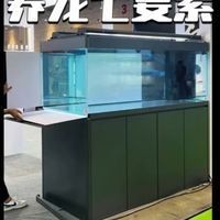 龍魚缸和其它魚缸有啥區別