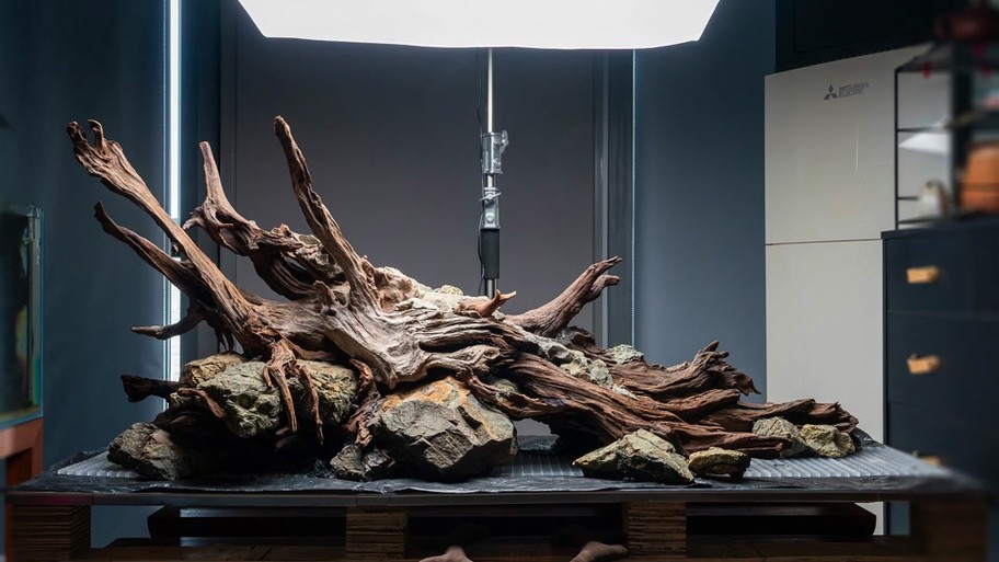 龍魚缸和其它魚缸有啥區別