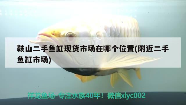 鞍山二手魚缸現貨市場在哪個位置(附近二手魚缸市場)
