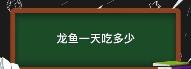 40cm龍魚一天吃多少斤飼料合適呢（龍魚一般喂多少飼料）