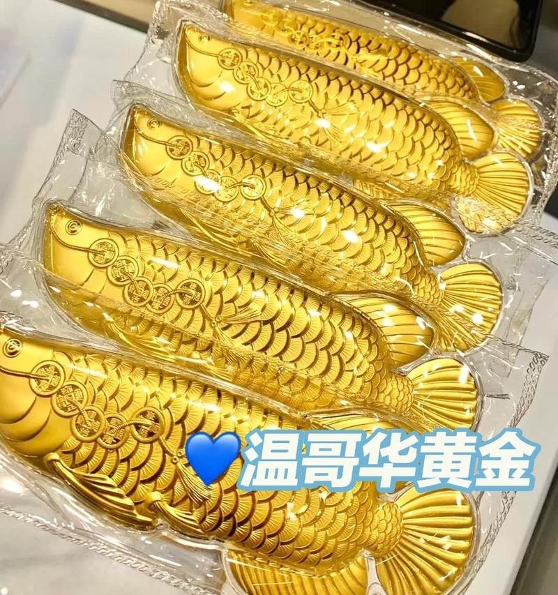 金龍魚擺件有哪些品牌推薦