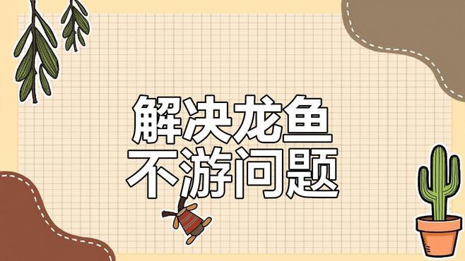 小龍魚不愛游動怎么回事兒