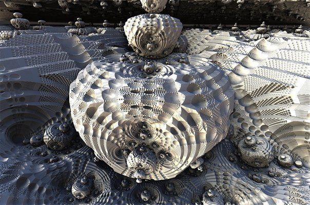 龍魚魚缸背景圖片下載大全集：龍魚魚缸背景圖片下載大全