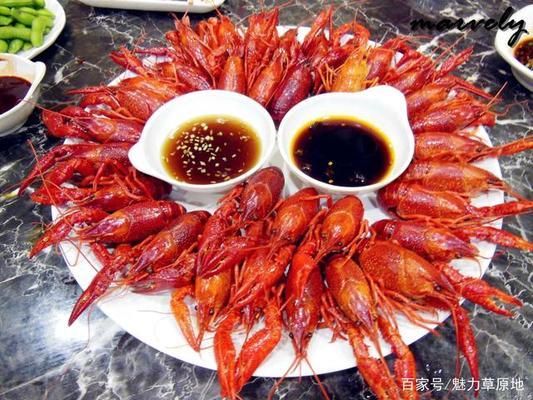 金龍魚能喂熟蝦嗎：關于金龍魚能否喂熟蝦，飼養者應謹慎評估這些風險和爭議