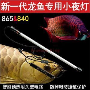小龍魚掉眼最簡單的恢復方法視頻：小龍魚掉眼怎么辦