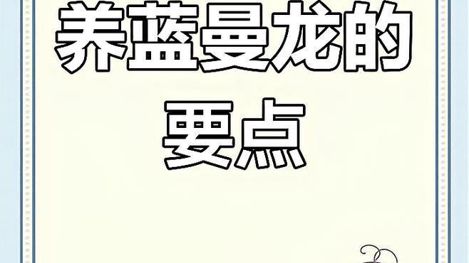 如何判斷藍曼龍魚是否吃飽？