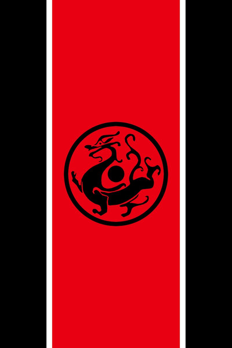 黑龍旗在哪些現代場合被使用？