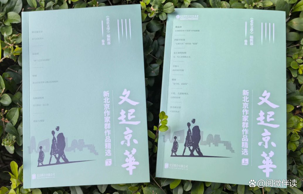 這些經典作品中有哪些適合新手閱讀？