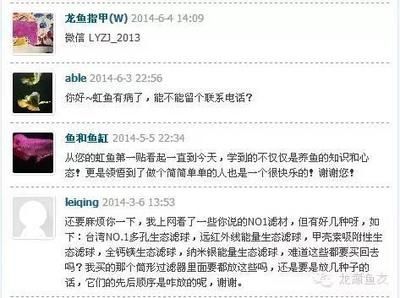 買龍魚微信交易違法嗎：買龍魚微信交易是否違法