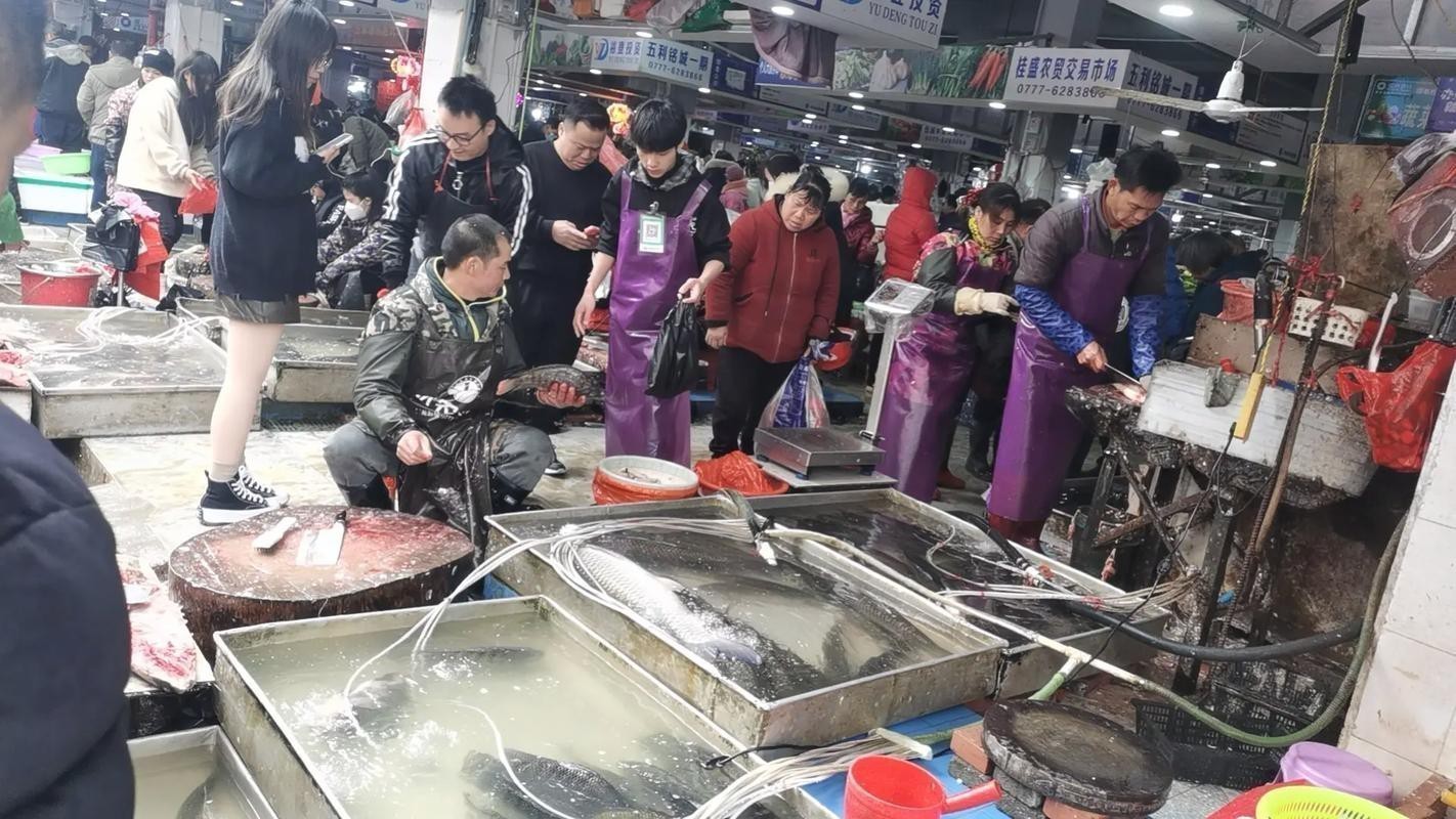 武漢龍魚批發市場在哪個位置啊圖片